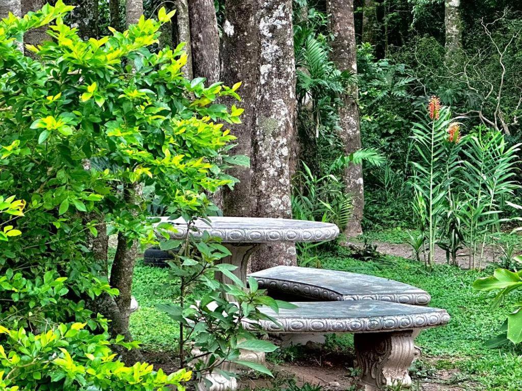 Cabanas Roca Verde Monteverde 外观 照片