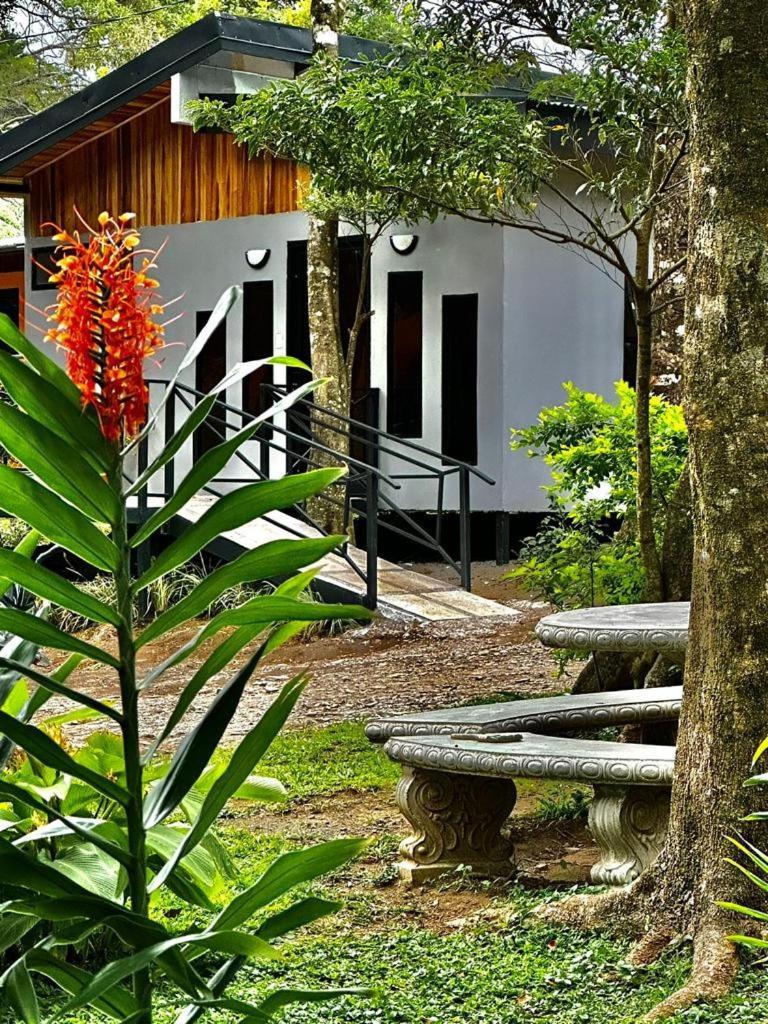 Cabanas Roca Verde Monteverde 外观 照片