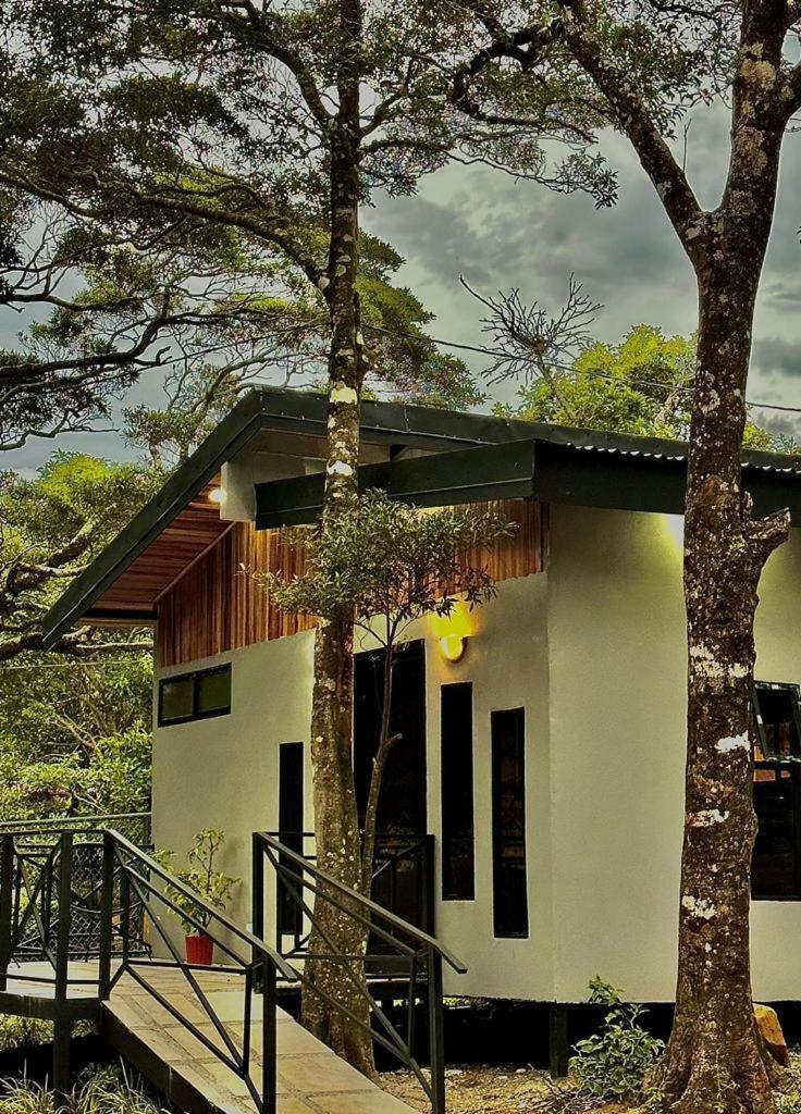 Cabanas Roca Verde Monteverde 外观 照片